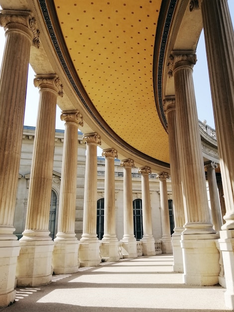 Telhado e colunas do Museu de História Natural de Marselha sob o sol na França