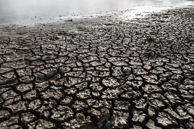 Terra árida com solo seco e rachado, aquecimento global