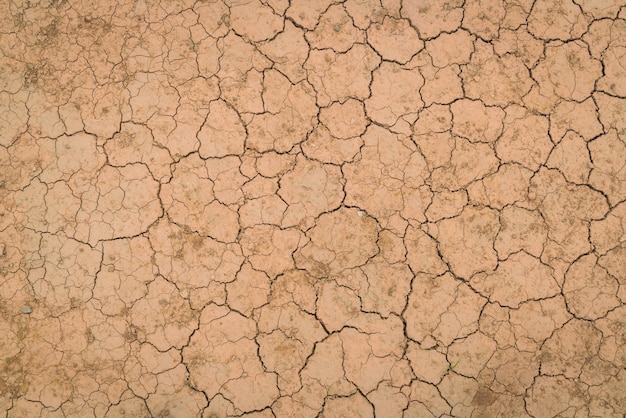 Foto grátis textura à terra seca e rachada.