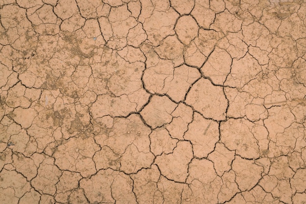 Foto grátis textura à terra seca e rachada.