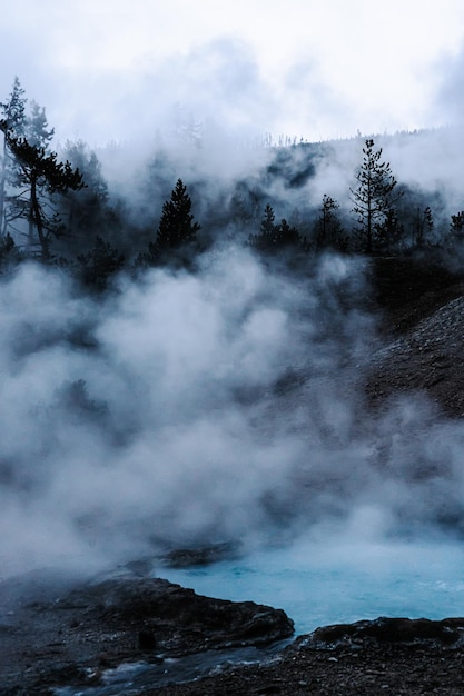 Foto grátis tiro vertical dos gêiseres no parque nacional de yellowstone, estados unidos