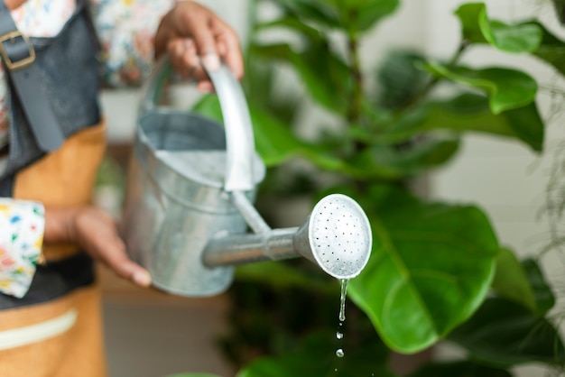 Foto grátis trabalhador de pequena empresa regando plantas