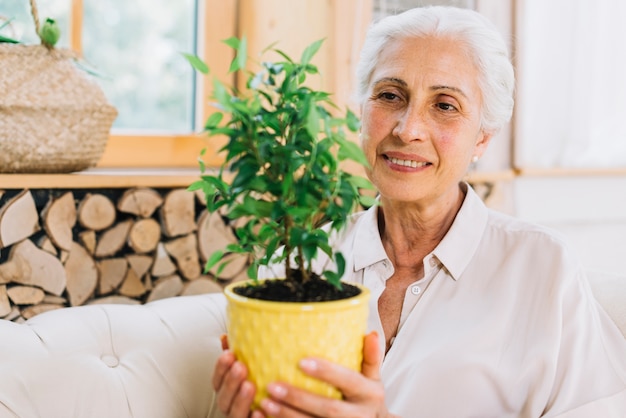 Um, idoso, mulher sorridente, segurando, planta pote