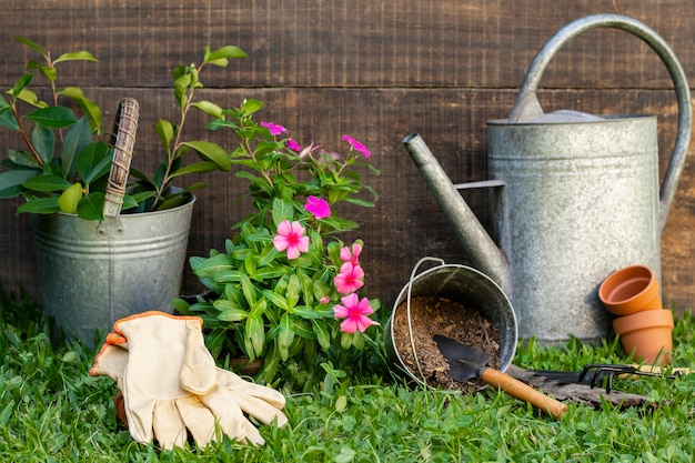 Vaso de plantas com regador