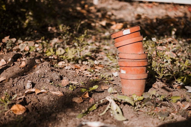 Foto grátis vasos de flores