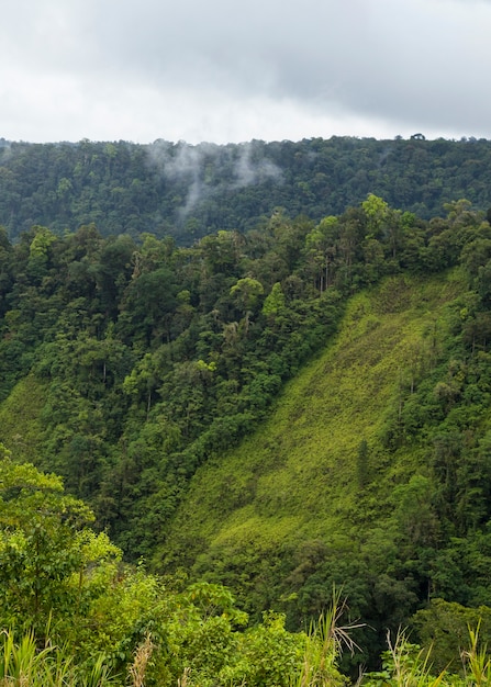 Verde, luxuriante, vale, e, montanha, em, costa rica