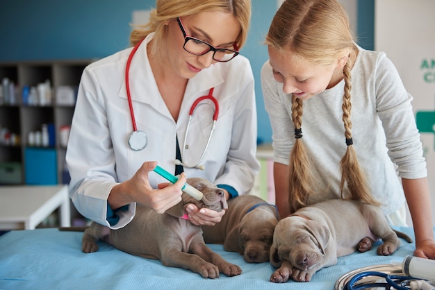 Foto grátis veterinário alimentando filhotes fofos e sonolentos