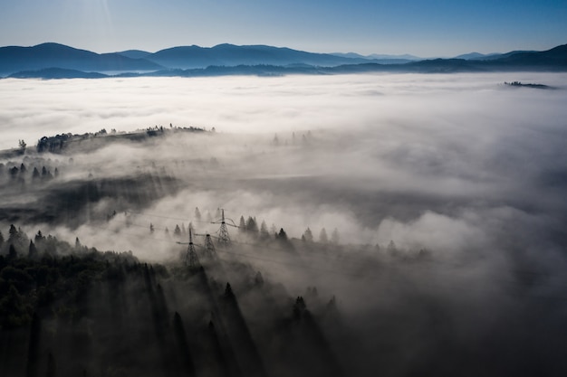 Foto grátis vista aérea da floresta mista colorida, envolta em névoa da manhã em um lindo dia de outono