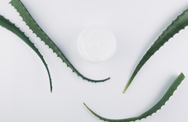 Vista superior aloe vera com ferramentas de beleza e cosméticos