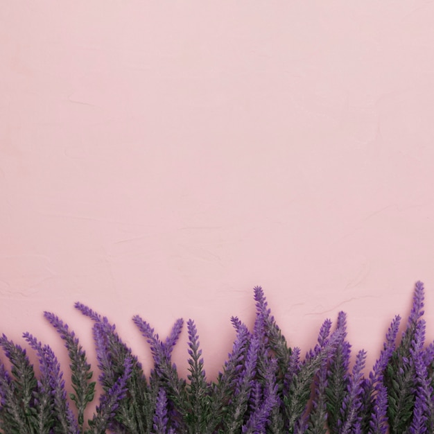 Vista superior das flores para o dia das mães com espaço de cópia