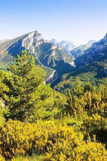 Kostenloses Foto anisclo canyon im sommer