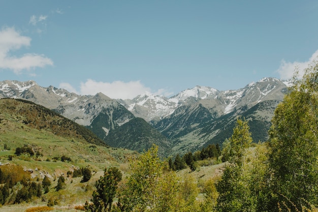 Kostenloses Foto berglandschaft mit grünen bäumen