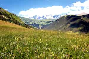 Kostenloses Foto blick auf die savoyer alpen-europa im sommer