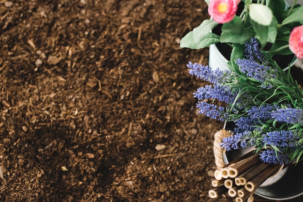 Kostenloses Foto blumen auf boden und raum auf der linken seite