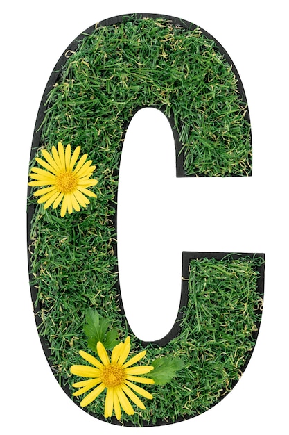 Kostenloses Foto buchstabe c aus grünem gras mit blumen, die auf weiß isoliert sind