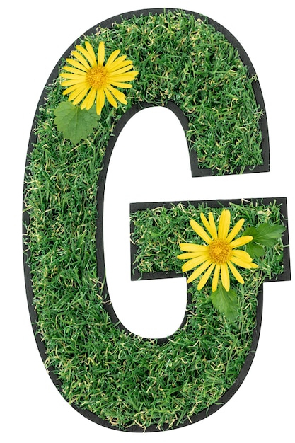 Kostenloses Foto buchstabe g aus grünem gras mit isolierten blüten auf weißem