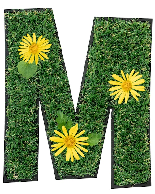 Kostenloses Foto buchstabe m aus grünem gras mit blumen, die auf weiß isoliert sind