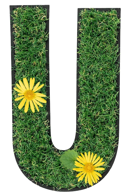 Kostenloses Foto buchstabe u aus grünem gras mit blumen, die auf einem durchsichtigen hintergrund isoliert sind