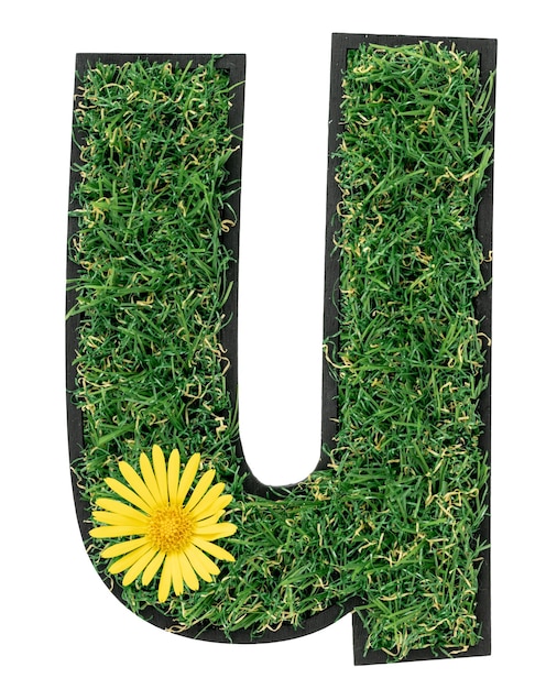 Kostenloses Foto buchstabe u aus grünem gras mit blumen, die auf einem durchsichtigen hintergrund isoliert sind