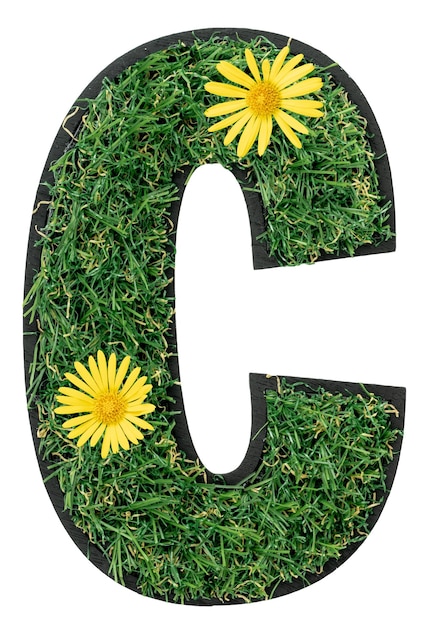 Kostenloses Foto c buchstabe aus grünem gras mit blumen, die auf weiß isoliert sind