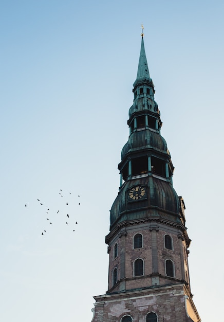 Kostenloses Foto die spitze eines uhrenturms mit grüner spitze und vögeln, die daneben fliegen