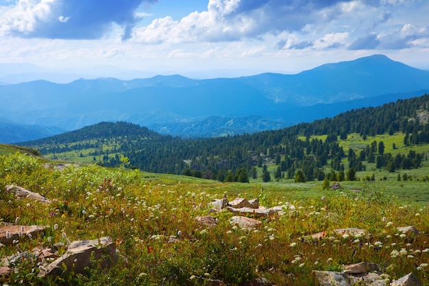 Kostenloses Foto einfache berge landschaft