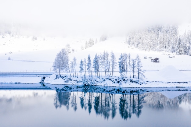 Kostenloses Foto faszinierende aufnahme eines sees mit schneebedeckten bäumen, die sich im sauberen blauen wasser spiegeln