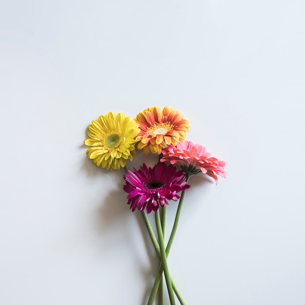 Frühlingskonzept mit vier Blumen