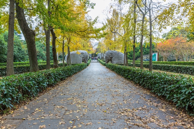 Kostenlose Foto fußweg durch statuen bei ming xiaoling mausoleum