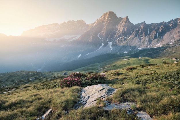 Kostenloses Foto grasige hügel mit blumen und bergen