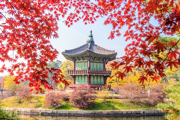 Gyeongbukgung und Ahornbaum im Herbst in Korea.