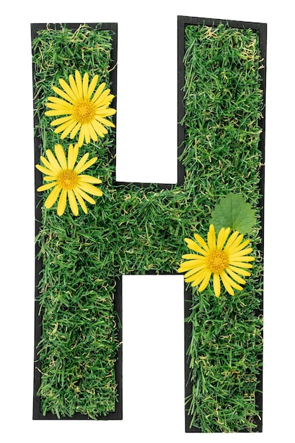 Kostenloses Foto h buchstabe aus grünem gras mit isolierten blumen auf durchsichtigem hintergrund