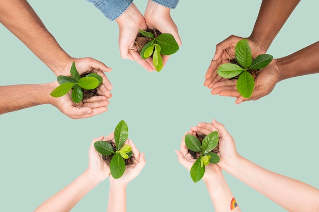 Kostenloses Foto hände schröpfen pflanze retten die umwelt kampagne