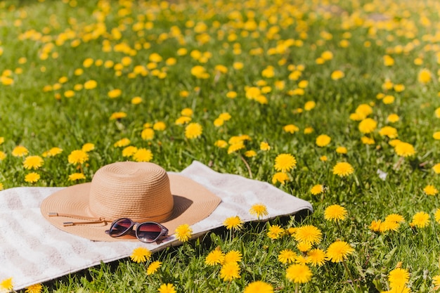 Kostenloses Foto handtuch mit hut und brille auf dem feld