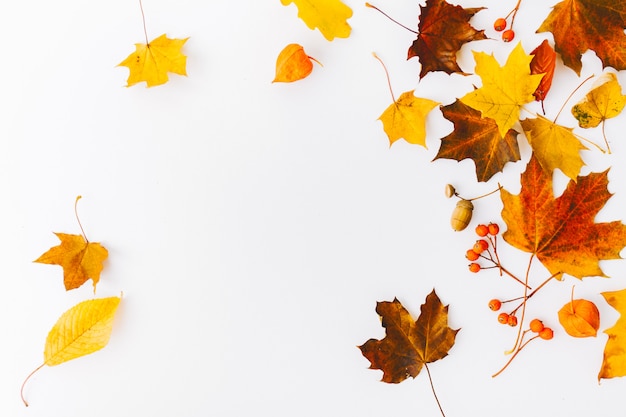 Kostenlose Foto herbst flach legen hintergrund auf weiß