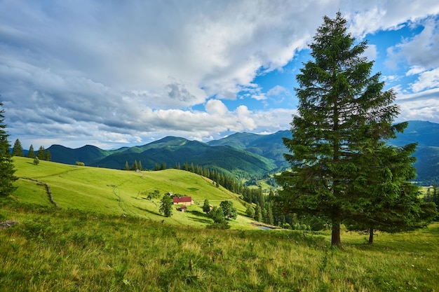 Kostenloses Foto idyllische landschaft in den alpen mit frischen grünen wiesen und blühenden blumen