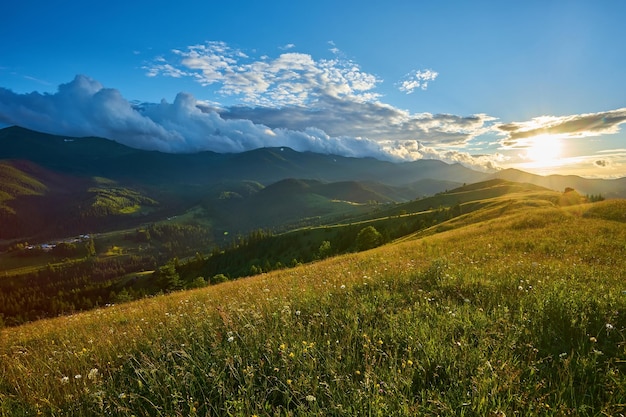 Kostenloses Foto idyllische landschaft in den alpen mit frischen grünen wiesen und blühenden blumen