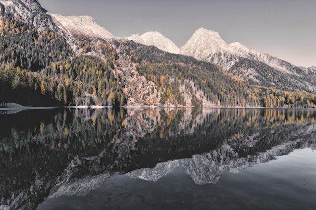 Kostenlose Foto landschaft der berge und bäume