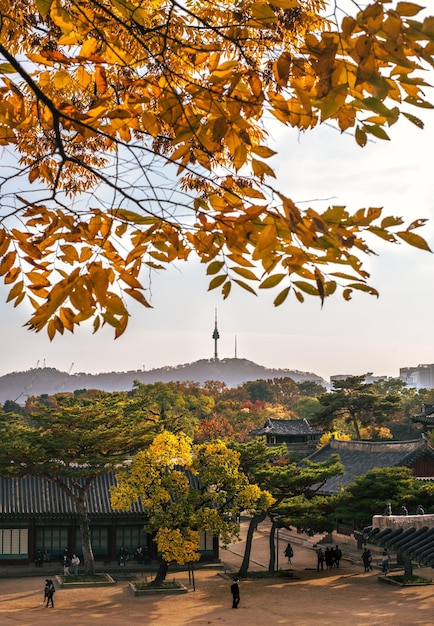 Kostenloses Foto namsan-turm und changkyunggung mit herbstlaub auf ästen im vordergrund in seoul korea