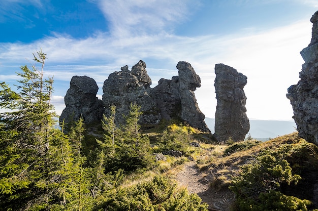 Kostenloses Foto nebliger sommermorgen in den bergen. karpaten, ukraine, europa. schönheitswelt.