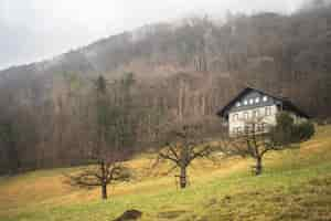 Kostenloses Foto niedriger winkelschuss eines hauses auf einem berg mit kahlen bäumen an einem nebligen tag