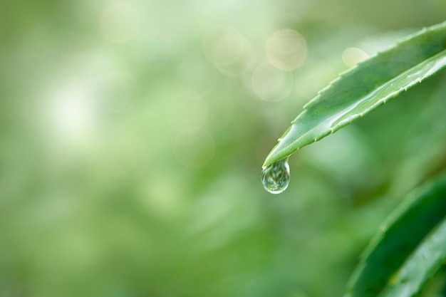 Kostenloses Foto reines wasser in der natur