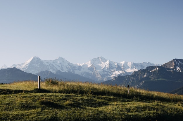 Kostenloses Foto schöne aufnahme einer wiese umgeben mit weißen bergen unter einem klaren himmel