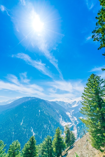 Kostenloses Foto schöne baum und schnee bedeckt berge landschaft kaschmir staat, indien