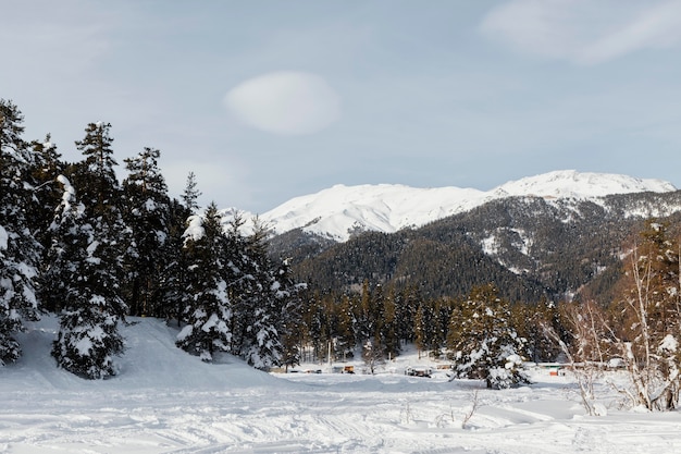 Kostenloses Foto schöne berglandschaft