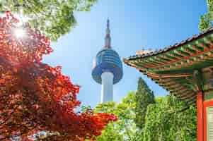 Kostenloses Foto seoul tower mit gyeongbokgung-dach und rotem herbstahornblatt am namsan-berg in südkorea