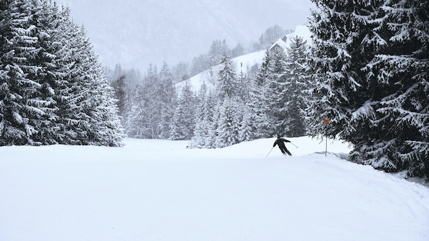 Kostenloses Foto skifahrer, die durch die von bäumen gesäumten hänge des skigebiets alpe d huez in den französischen alpen fahren