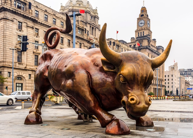 Kostenloses Foto stier in der stadt