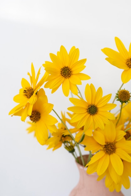 Kostenlose Foto stillleben friedenstag arrangement mit blume