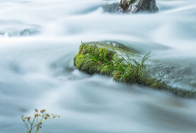 Kostenloses Foto stream fließen durch felsen